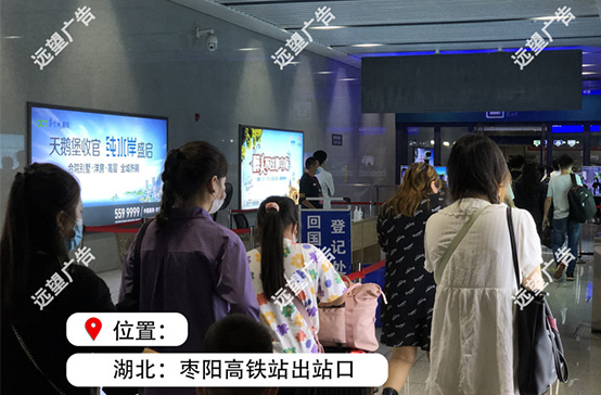 漢十高鐵-棗陽高鐵站