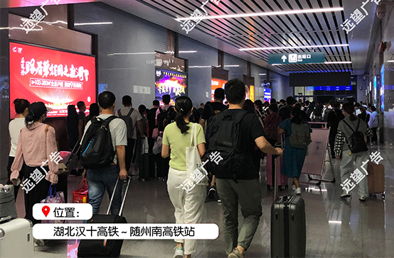 漢十高鐵-隨州南高鐵站