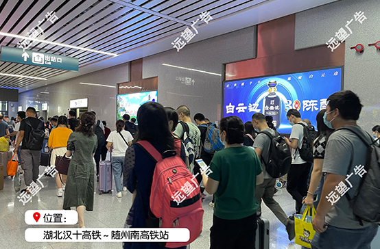 漢十高鐵-隨州南高鐵站